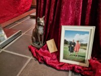 ein Bild aus dem Album